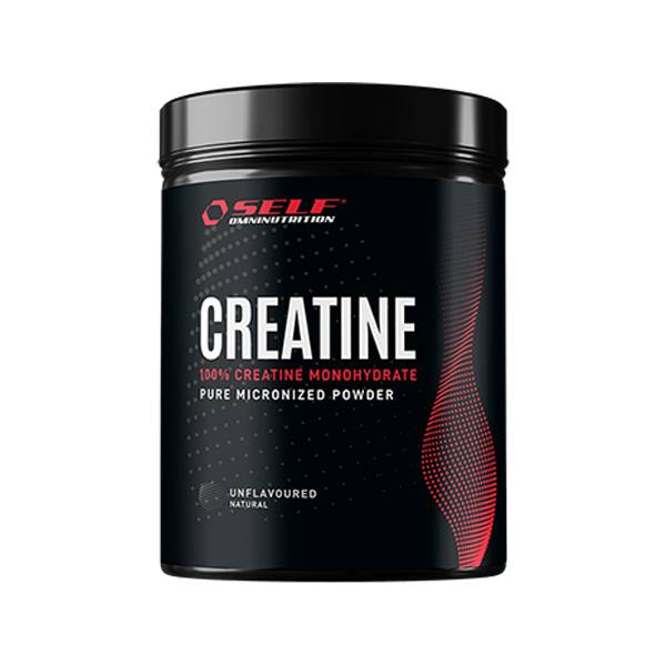 REAL CREATINA 500 GR
