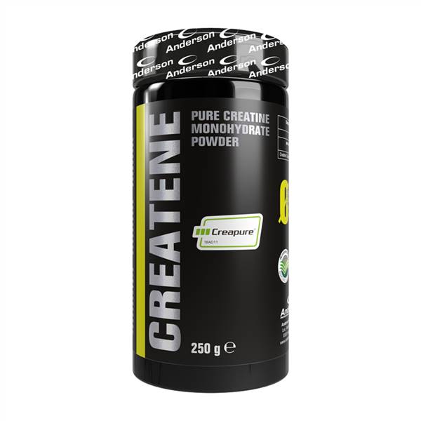 CREATINA SIMPLEX 250GR ANDERSON