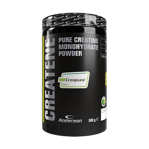 CREATINA SIMPLEX 500 GR