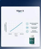 VIGOR-X TESTOBOOST 60 CPR MACA E ZINCO