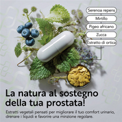 Prosta Serenoa Repens 180 Cps