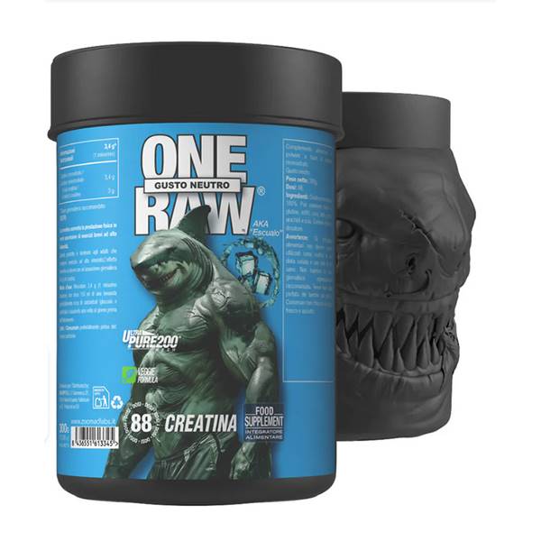 CREATINA ONE RAW NATURAL 300 GR